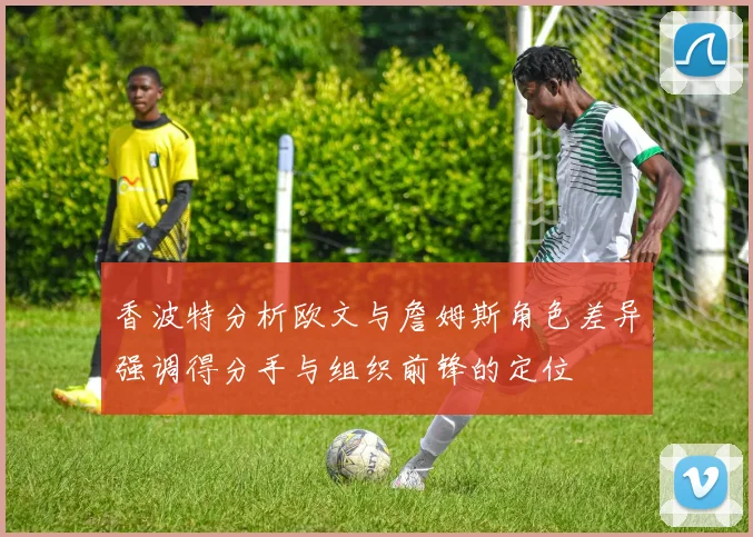 香波特分析欧文与詹姆斯角色差异强调得分手与组织前锋的定位